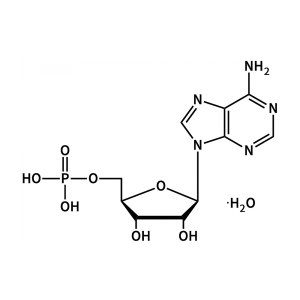 5'-單磷酸腺苷 